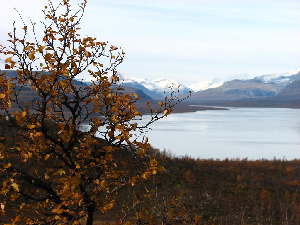 Galdotieva-Seo Villa Leppäjärvi Buitenkant foto