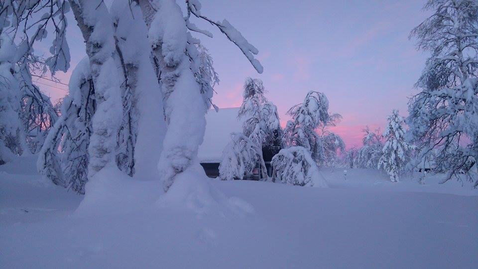 Galdotieva-Seo Villa Leppäjärvi Buitenkant foto