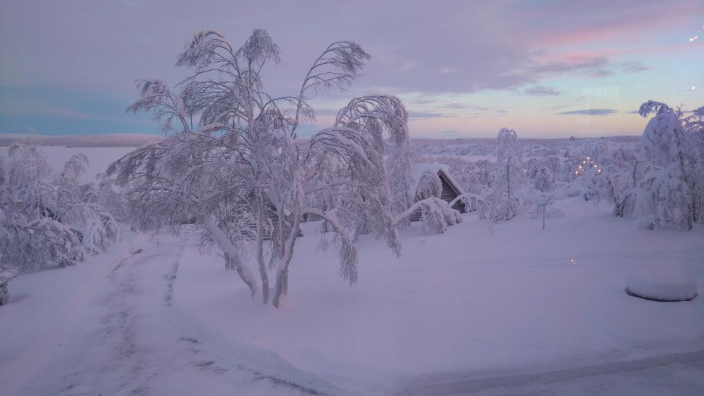 Galdotieva-Seo Villa Leppäjärvi Buitenkant foto